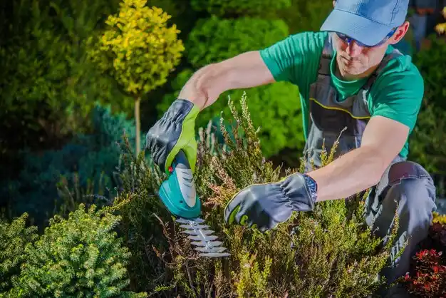 landscaping services Rolling Hills